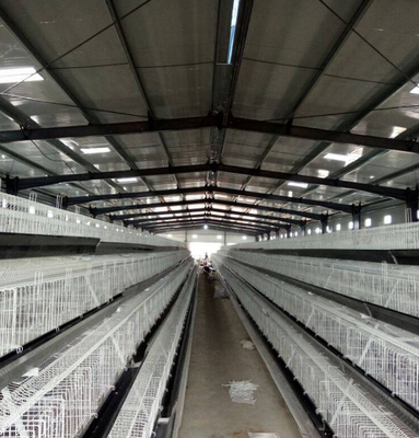 Struktur baja prafabrikasi Peternakan unggas Gudang Pengendalian Unggas Bangunan Konstruksi Untuk Ayam